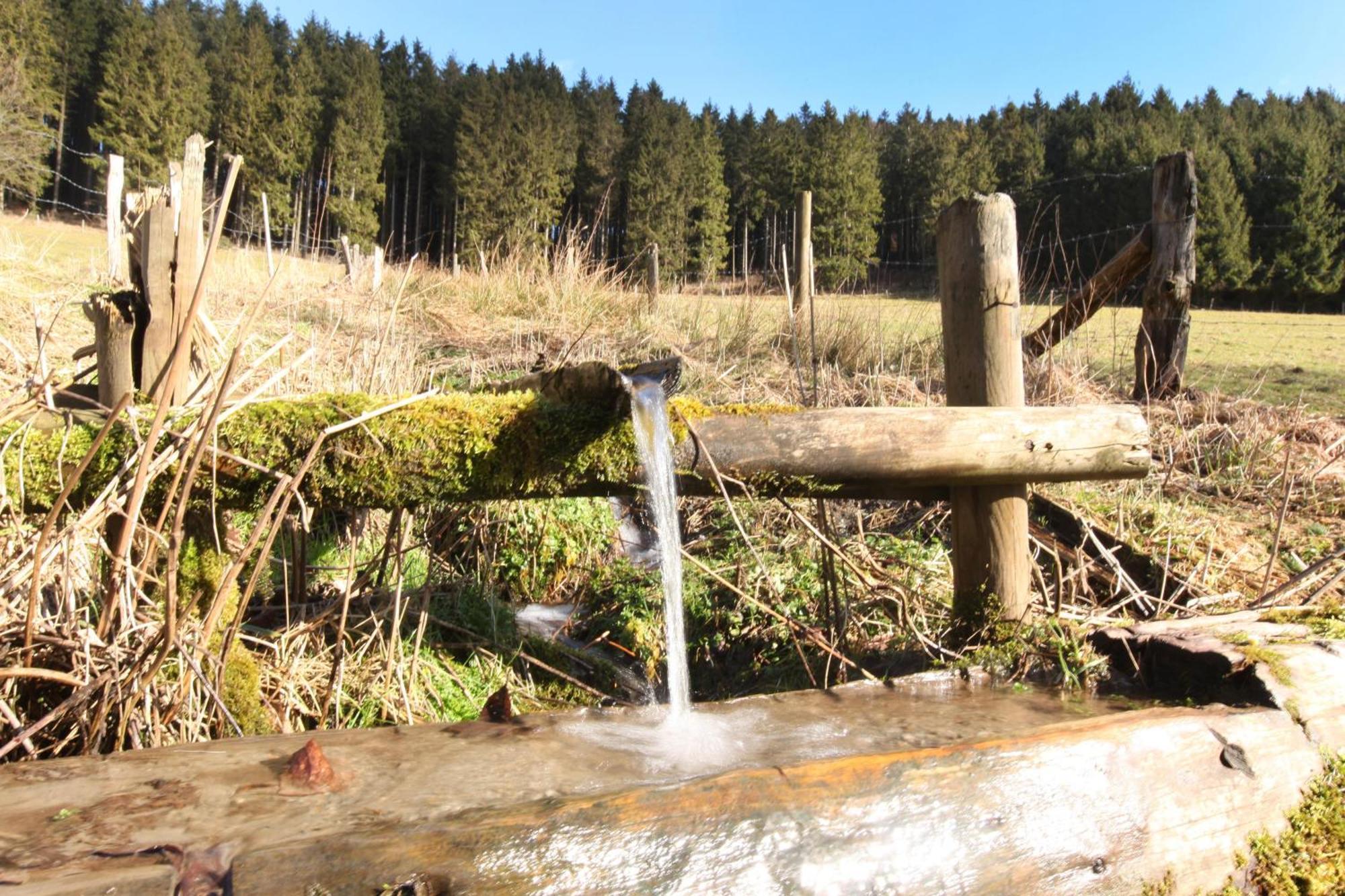 Fewo Ettelsberg Niedersfeld Appartement Winterberg Buitenkant foto